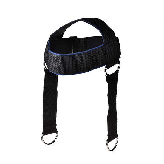 Head Harness