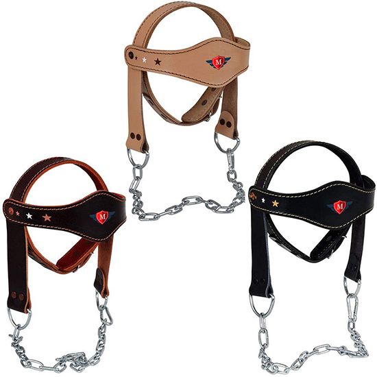 Head Harness