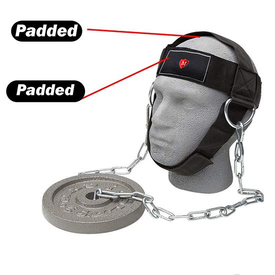 Head Harness