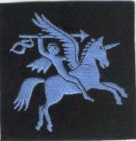 Army Badge