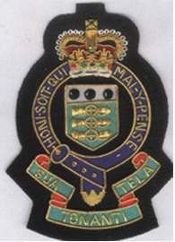 Army Badge