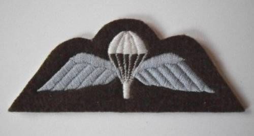 Wings Badge