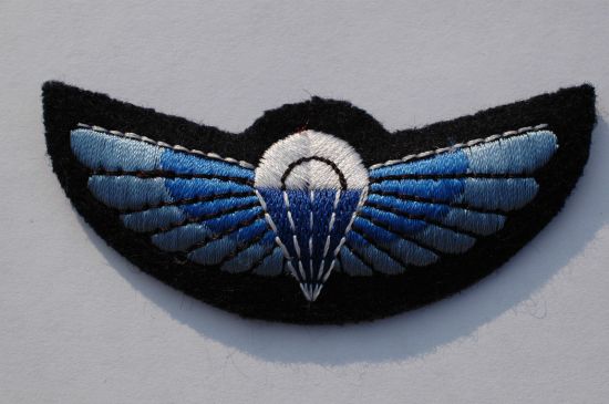 Wings Badge