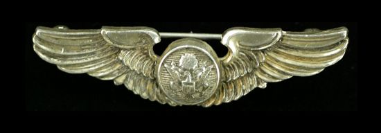 Wings Badge