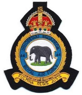 Squadron Badge