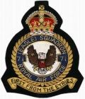 Squadron Badge