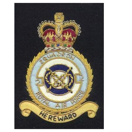 Squadron Badge