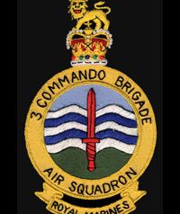 Squadron Badge