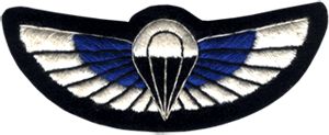 Wings Badge