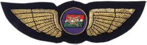 Wings Badge