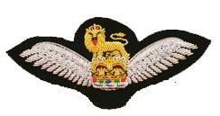 Wings Badge