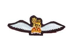 Wings Badge