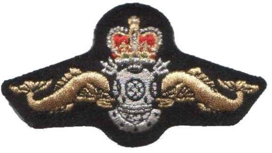 Wings Badge