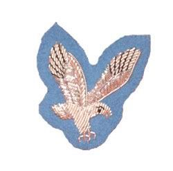 Wings Badge